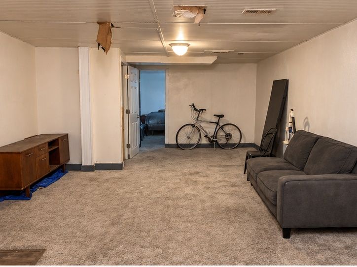 Basement living area